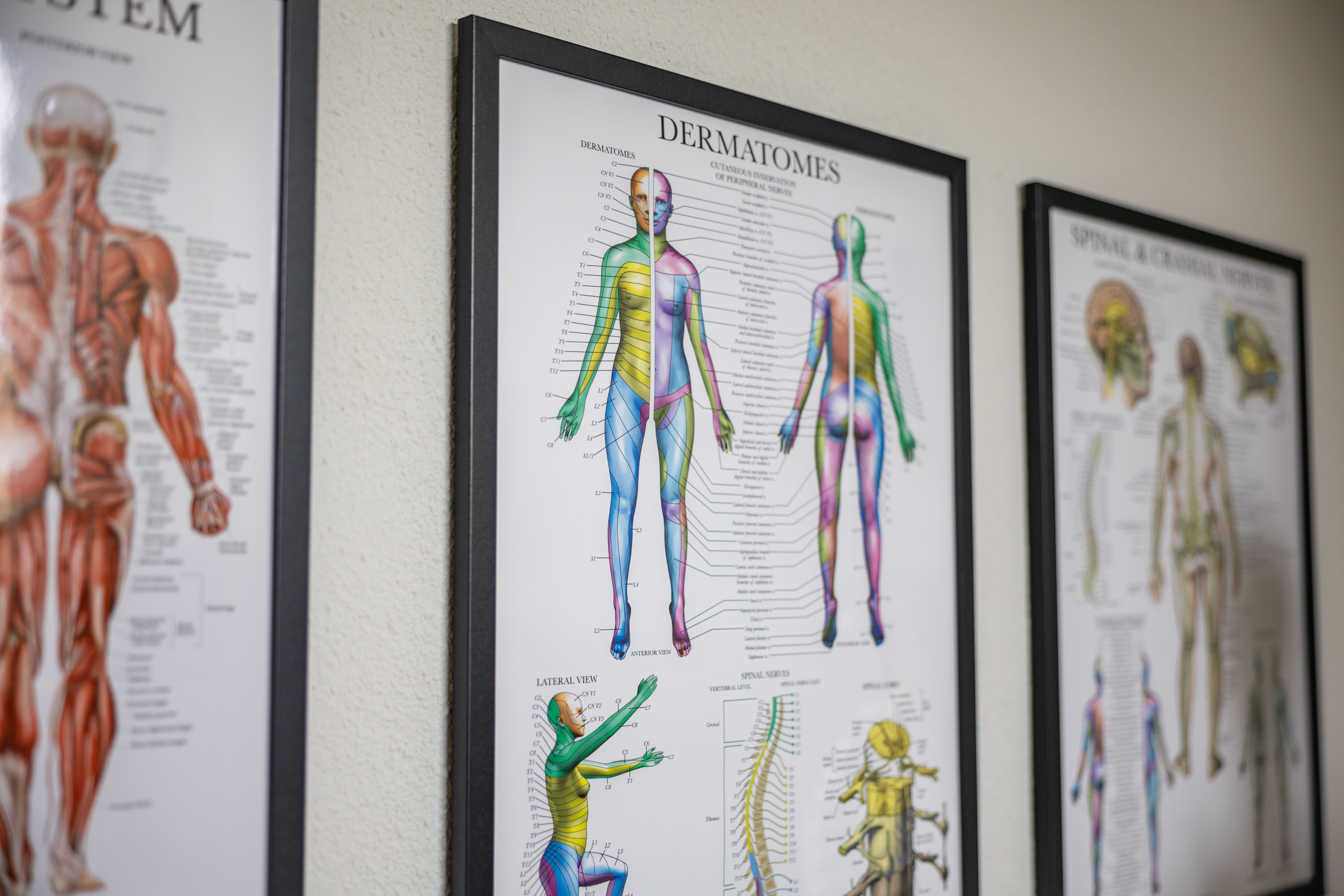 MindBody Med